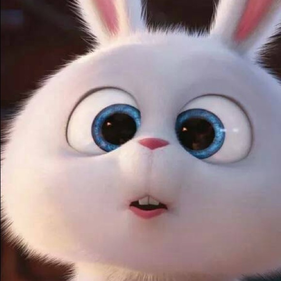 happycat33